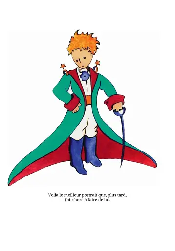 Le Petit Prince - фото 7