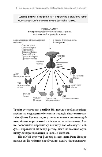 Магія гормонів. Невидимий диригент вашого життя - фото 14
