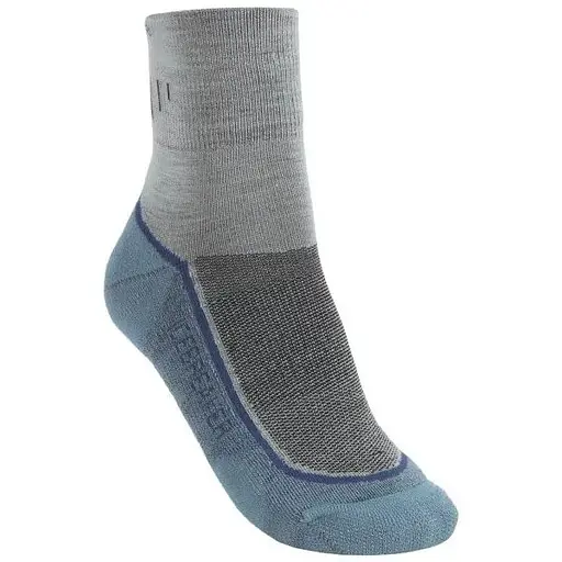 Шкарпетки Icebreaker Hike Lite Mini WMN M Silver/Ocean (1052-IBN 846 B04 M)