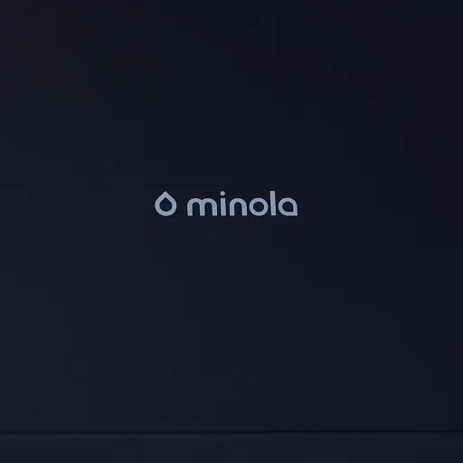 Minola Slim T 6712 BL 1100 LED - фото 10