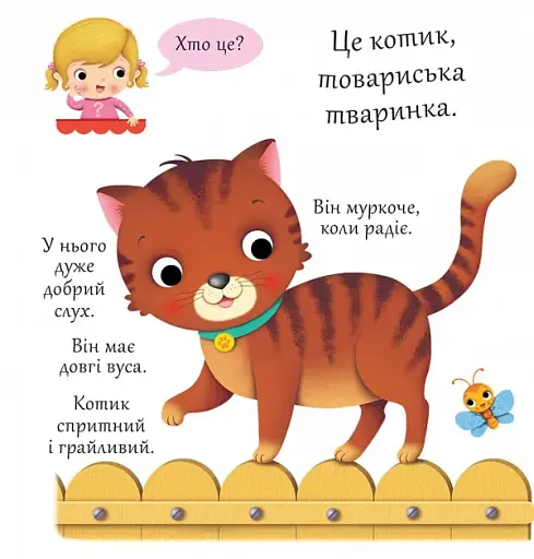 Котики - фото 3