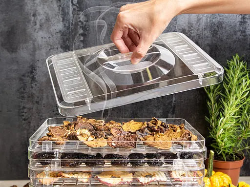 Сушилка для фруктов FIRST Austria FA-5126-5 (дисплей, прямоугольная) - фото 7