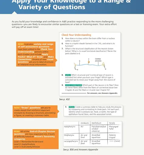 Human Anatomy & Physiology Global Edition - фото 5