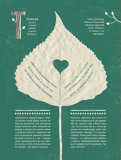 Шевченко від А до Я - фото 5