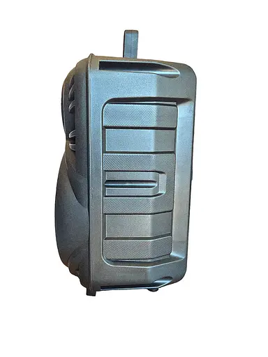 Бездротова Bluetooth-колонка NDR P33 8 дюймів 15W - фото 7