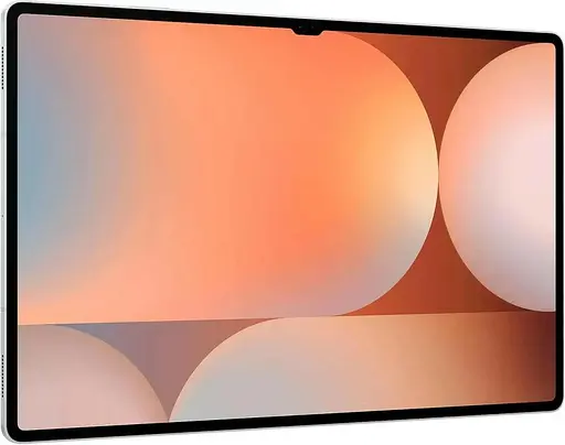 Планшет Samsung Galaxy S10 Ultra 12/256GB Platinum Silver (SM-X920NZSR) (Global) - фото 4