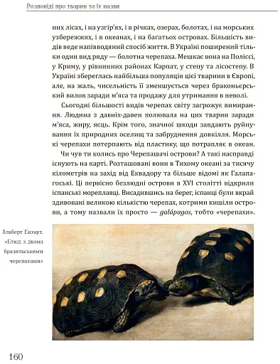 Розповіді про тварин та їх назви - фото 12