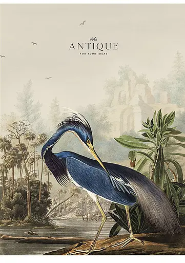 Комплект 3 шт общих тетрадей. Тетрадь Школярик А4 48 л. в линию 5079 4823088220681 - фото 3