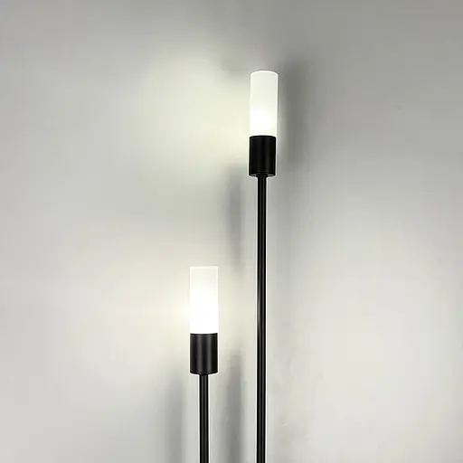 Стіновий видовжений світильник у чорному корпусі з білими плафонами 55х12 см Арт. WB56/2 BK Line F - фото 2