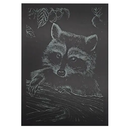 Гравюра А5 "Енот" ГрА5з-10 эконом вариант в пакете 21 х 14,8 см