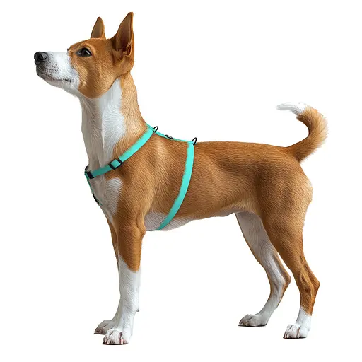 Шлей для собак водостойкий анатомический Н-образный Waudog Magnet с QR-паспортом магнитная пряжка-фастекс S Ш 15 мм А 28-42 см В - фото 6