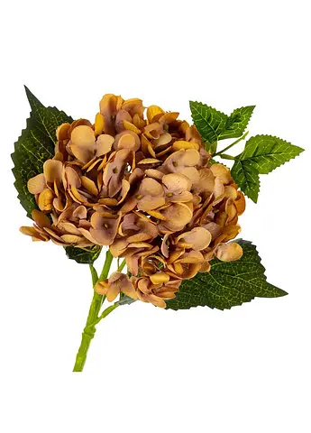 Букет "Гортензія великолиста", охра 45 см Elisey   - фото 2