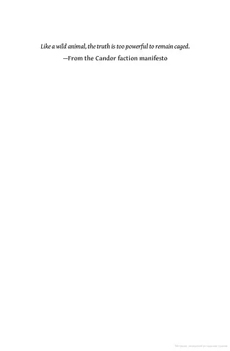 Insurgent. Book 2 - фото 5