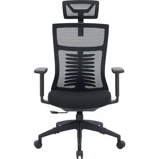 Офісне крісло OfficePro Balance OC550-B-B-B Black [148644]