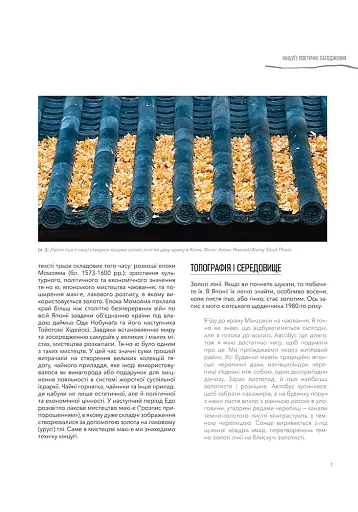 Кінцуґі: поетичне лагодження - фото 8