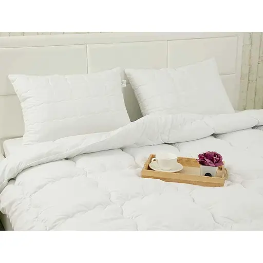 Одеяло силиконовое Руно Warm Silver зимнее 172х205 см 316.52_Warm Silver - фото 2