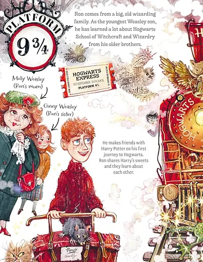 Pocket Potters: Ron Weasley - Ролінґ Джоан - фото 2