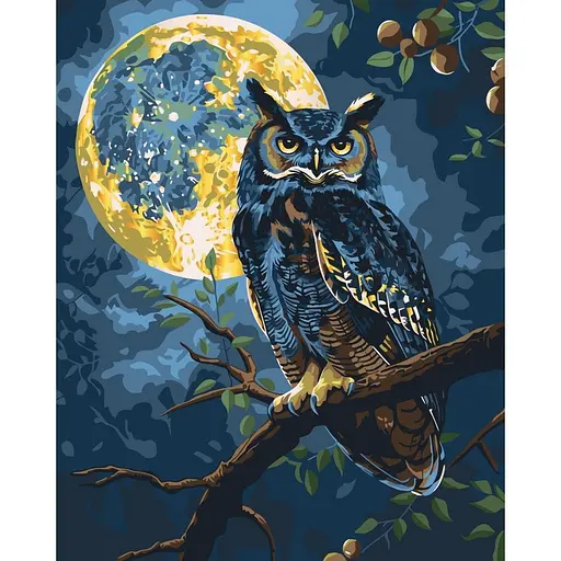 Картина по номерам "Хранитель звездного света" Art Craft 11722-AC 40х50 см - фото 1