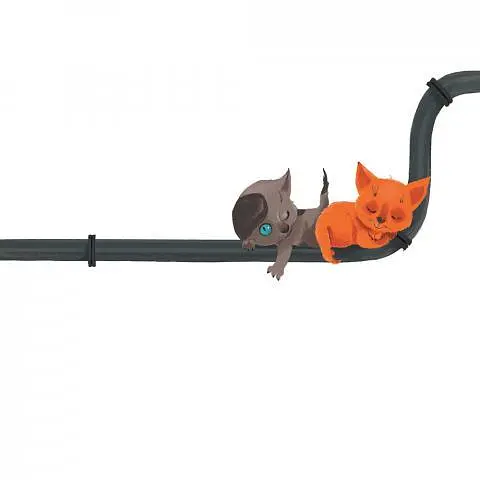 Книга Котохатка. Автор - Галина Вдовиченко (ВСЛ) - фото 3