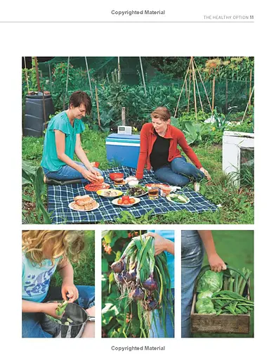 The Royal Horticultural Society Allotment Handbook. The Expert Guide for Every Fruit and Veg Grower - фото 7