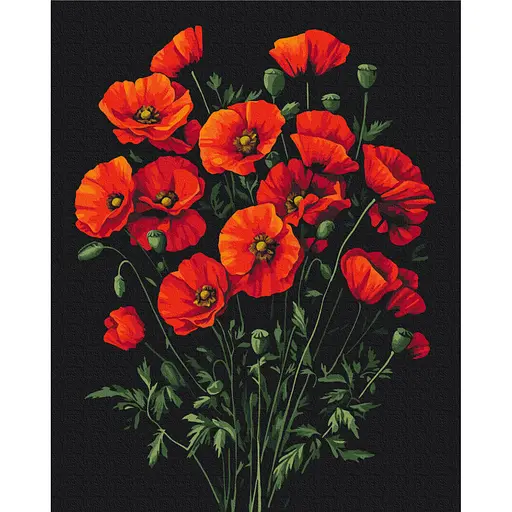 Картина по номерам "Очарование маков" Brushme BS54146, 40х50 см - фото 1