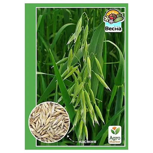 Овес ТМ Весна Чернігівський 28, 10 кг (167041) - фото 1