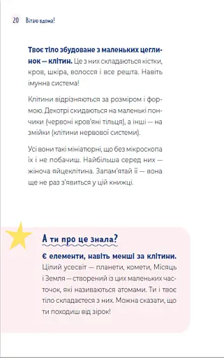 Путівник світом дорослішання для дівчат. Зміни в тілі, перші місячні та бодіпозитив - фото 8