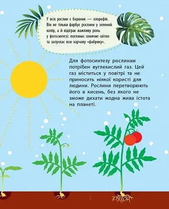 Чомусики. Рослини - фото 3