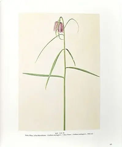 Flowers! In the Art of the 20th and 21st Centuries (Bilingual edition) - фото 4