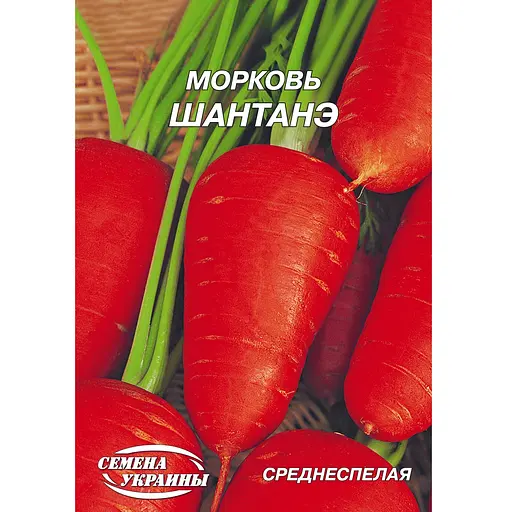 Насіння Насіння України гігант морква шантане 20 г (164100)