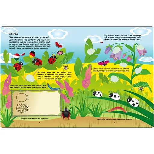 Розвиваючий зошит "Зелена книга про комашок" 15211 з наклейками - фото 2