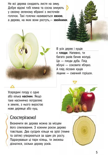 Дитяча енциклопедія про природу 614008 для дошкільнят - фото 2