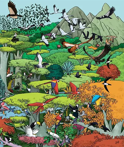 Книга Шукай і знаходь. Тварини. Автор - Тьєррі Лаваль, Янн Кувен (Читаріум) - фото 4