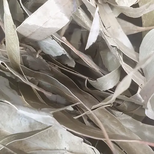 100 г эвкалипт лист сушеный - свежий урожай