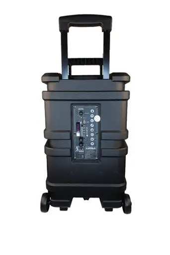 Колонка Big PK-1211 bluetooth + микрофон (360х280х560) USB/MO3/FM/TWS Черный - фото 4