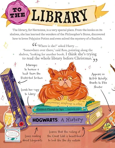 Pocket Potters: Hermione Granger - Ролінґ Джоан - фото 4