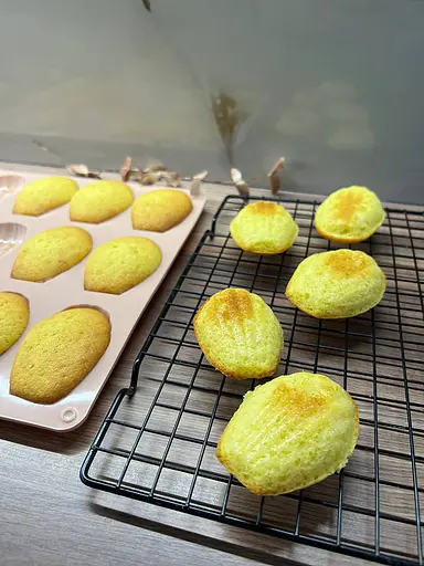 Форма силиконовая для выпечки печенья Мадлен на 18 ракушек 32х24х1.4 см C381, Kitchen Master Бежевый 87171 - фото 4