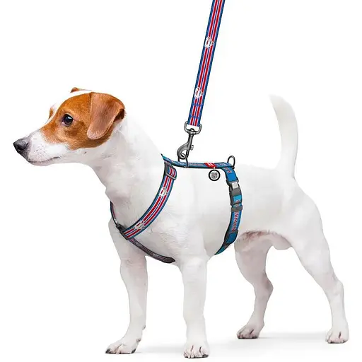 Шлея для собак Waudog Nylon анатомічна H-подібна з QR-паспортом, світловідбивна, малюнок "Супермен Ретро", пластиковий фастекс, М - фото 4