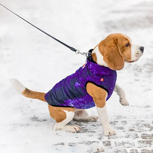 Курточка для собак Waudog Clothes малюнок "NASA21", M47, В 69-72 см, С 41-44 см - фото 3