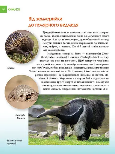 Енциклопедія для допитливих А5 : Хижаки (Українська, 01 КРЕЙДОВАНИЙ ) - фото 6