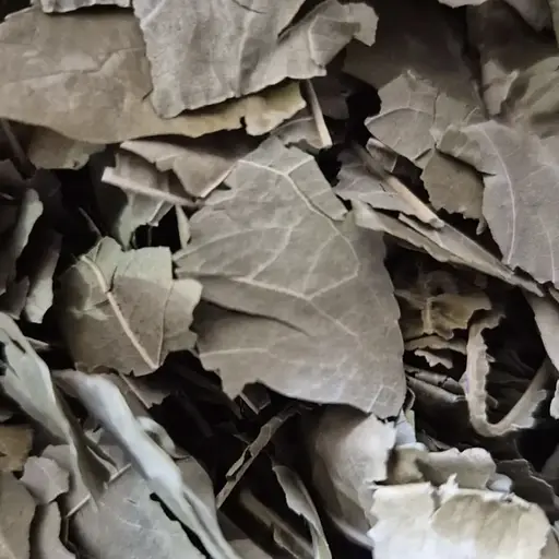 100 г персиковые листья сушеные - свежий урожай