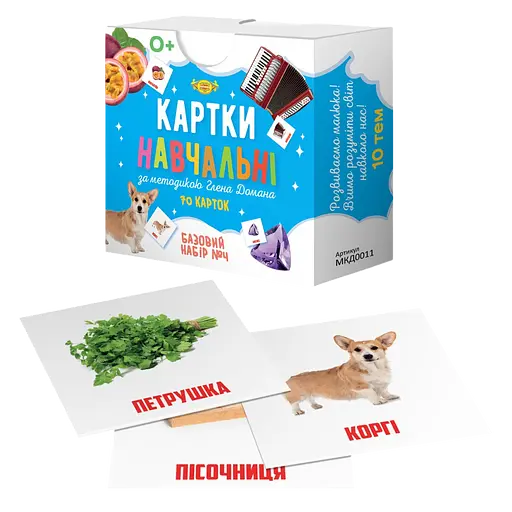 Картки навчальні Глена Домана №4 Майстер MKD0011 укр