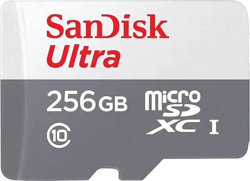 Карта памяти Sandisk Ultra microSDXC 256GB 100MB/s Class 10 UHS-I, EAN: 619659196516 (SDSQUNR-256G-GN3MN) - фото 1