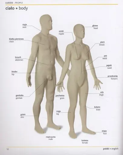 Polish-English Visual Bilingual Dictionary - фото 3