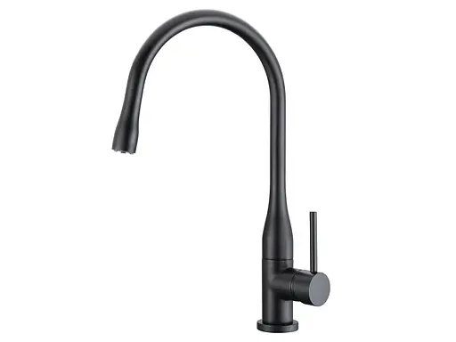 Змішувач для кухні Asignatura Delicate 80548602 Чорний матовий - фото 1