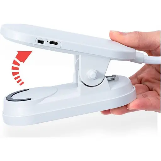 Настольная лампа AC Prof LDL3878 [110921] - фото 2