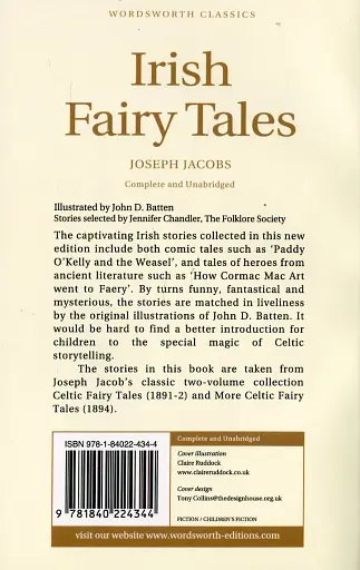 Irish Fairy Tales - фото 2
