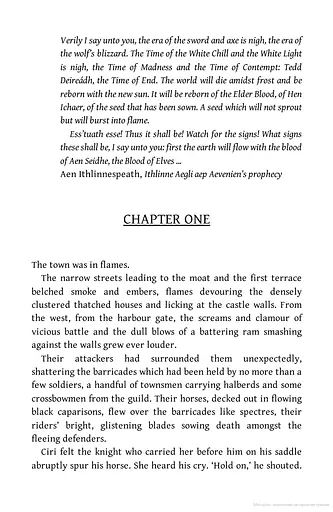 The Witcher. Blood of Elves - фото 2