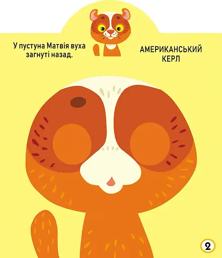 Грайка-розвивайка. Котики. 69 великих наліпок - фото 3