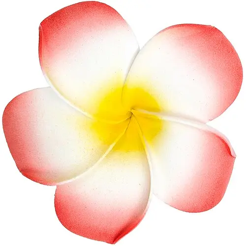 Заколка Гаваї - фото 1